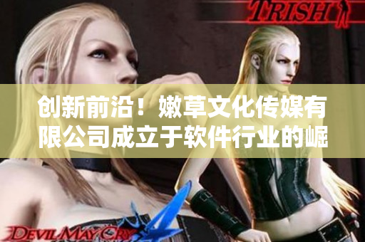 創(chuàng)新前沿！嫩草文化傳媒有限公司成立于軟件行業(yè)的崛起時(shí)刻