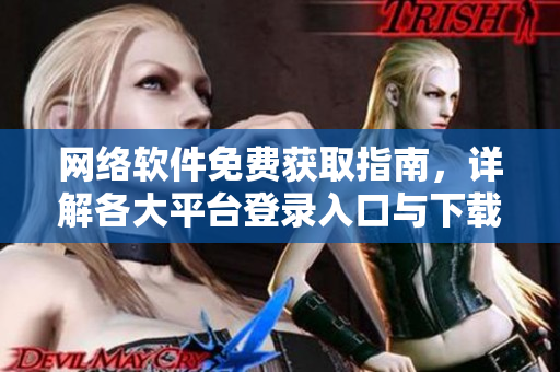 網(wǎng)絡(luò)軟件免費獲取指南，詳解各大平臺登錄入口與下載方法