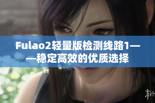Fulao2輕量版檢測(cè)線(xiàn)路1——穩(wěn)定高效的優(yōu)質(zhì)選擇