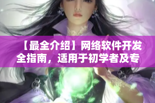 【最全介紹】網(wǎng)絡(luò)軟件開(kāi)發(fā)全指南，適用于初學(xué)者及專(zhuān)業(yè)人士！