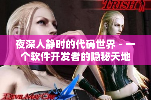 夜深人靜時(shí)的代碼世界－一個(gè)軟件開發(fā)者的隱秘天地