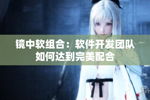 鏡中軟組合：軟件開發(fā)團(tuán)隊(duì)如何達(dá)到完美配合