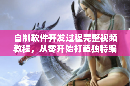 自制軟件開(kāi)發(fā)過(guò)程完整視頻教程，從零開(kāi)始打造獨(dú)特編碼技能