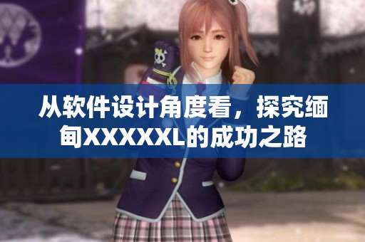 從軟件設計角度看，探究緬甸XXXXXL的成功之路