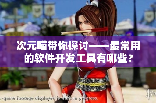 次元喵帶你探討——最常用的軟件開發(fā)工具有哪些？