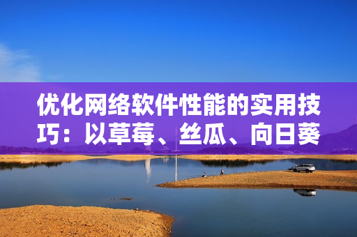 優(yōu)化網絡軟件性能的實用技巧：以草莓、絲瓜、向日葵、秋葵和茄子為例