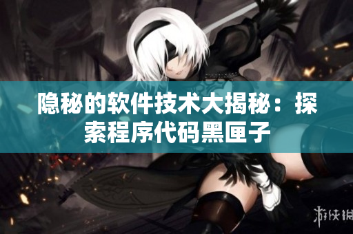 隱秘的軟件技術(shù)大揭秘：探索程序代碼黑匣子