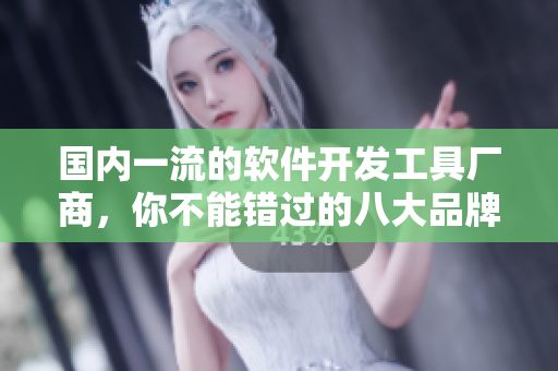國(guó)內(nèi)一流的軟件開發(fā)工具廠商，你不能錯(cuò)過的八大品牌