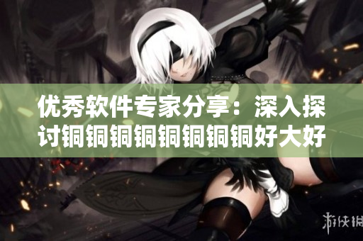 優(yōu)秀軟件專家分享：深入探討銅銅銅銅銅銅銅銅好大好深板技術(shù)