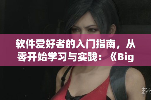軟件愛好者的入門指南，從零開始學(xué)習(xí)與實(shí)踐：《Bigbang軟件視頻教程》