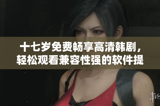 十七歲免費暢享高清韓劇，輕松觀看兼容性強的軟件提供者