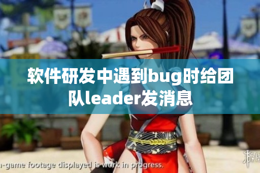 軟件研發(fā)中遇到bug時給團隊leader發(fā)消息