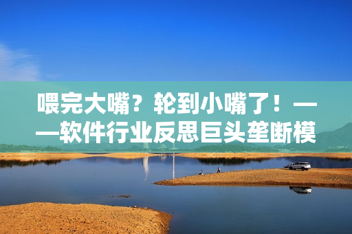 喂完大嘴？輪到小嘴了！——軟件行業(yè)反思巨頭壟斷模式，倡導(dǎo)多元發(fā)展