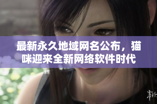 最新永久地域網(wǎng)名公布，貓咪迎來(lái)全新網(wǎng)絡(luò)軟件時(shí)代