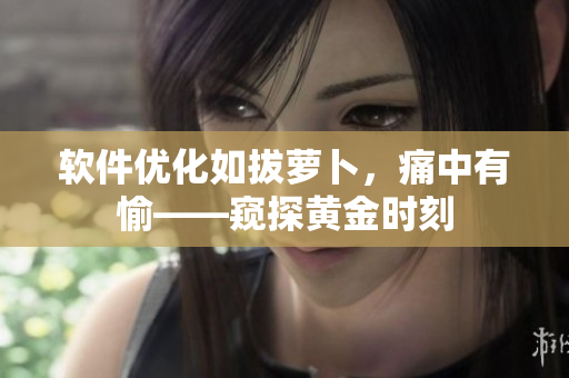 軟件優(yōu)化如拔蘿卜，痛中有愉——窺探黃金時刻