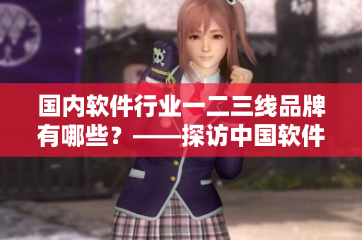 國內(nèi)軟件行業(yè)一二三線品牌有哪些？——探訪中國軟件界的市場格局