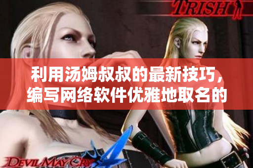 利用湯姆叔叔的最新技巧，編寫網(wǎng)絡軟件優(yōu)雅地取名的教程