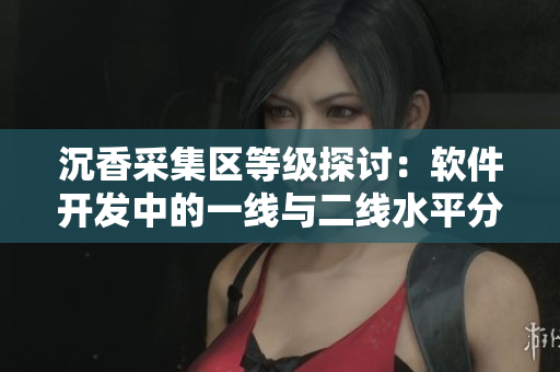 沉香采集區(qū)等級探討：軟件開發(fā)中的一線與二線水平分類