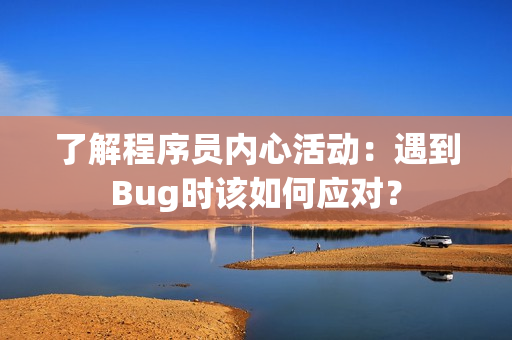 了解程序員內(nèi)心活動：遇到Bug時該如何應(yīng)對？
