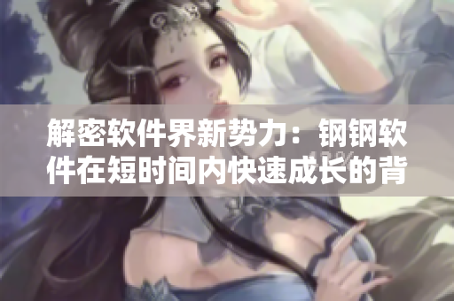 解密軟件界新勢力：鋼鋼軟件在短時(shí)間內(nèi)快速成長的背后
