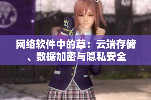 網(wǎng)絡(luò)軟件中的草：云端存儲、數(shù)據(jù)加密與隱私安全