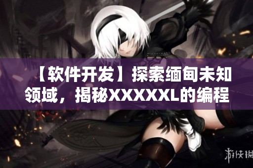 【軟件開發(fā)】探索緬甸未知領(lǐng)域，揭秘XXXXXL的編程藝術(shù)