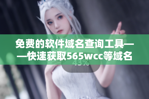免費(fèi)的軟件域名查詢(xún)工具——快速獲取565wcc等域名信息
