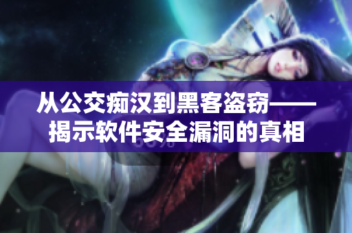 從公交癡漢到黑客盜竊——揭示軟件安全漏洞的真相