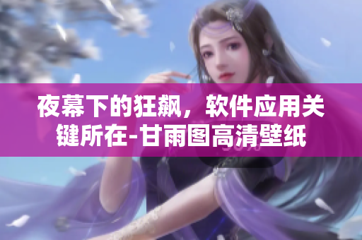 夜幕下的狂飆，軟件應(yīng)用關(guān)鍵所在-甘雨圖高清壁紙