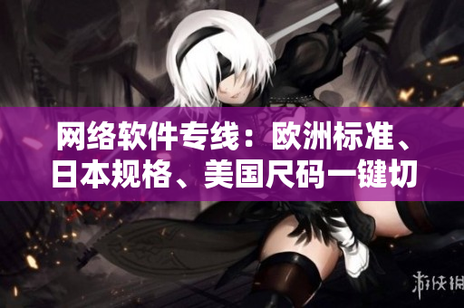 網(wǎng)絡(luò)軟件專線：歐洲標(biāo)準(zhǔn)、日本規(guī)格、美國(guó)尺碼一鍵切換