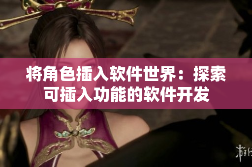 將角色插入軟件世界：探索可插入功能的軟件開發(fā)
