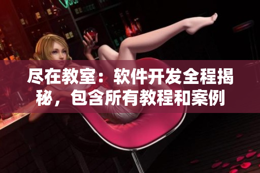 盡在教室：軟件開(kāi)發(fā)全程揭秘，包含所有教程和案例