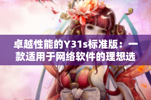 卓越性能的Y31s標(biāo)準(zhǔn)版：一款適用于網(wǎng)絡(luò)軟件的理想選擇
