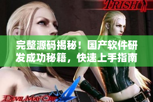 完整源碼揭秘！國(guó)產(chǎn)軟件研發(fā)成功秘籍，快速上手指南