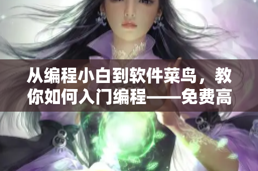 從編程小白到軟件菜鳥，教你如何入門編程——免費高清視頻第1季