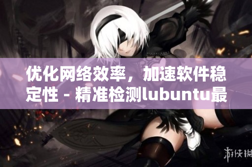 優(yōu)化網(wǎng)絡(luò)效率，加速軟件穩(wěn)定性 - 精準檢測lubuntu最佳連接路徑