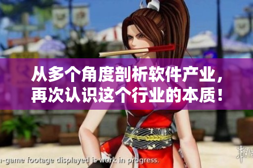 從多個角度剖析軟件產(chǎn)業(yè)，再次認識這個行業(yè)的本質！