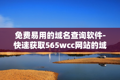 免費易用的域名查詢軟件-快速獲取565wcc網站的域名信息