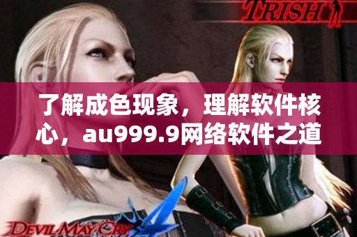 了解成色現(xiàn)象，理解軟件核心，au999.9網(wǎng)絡(luò)軟件之道