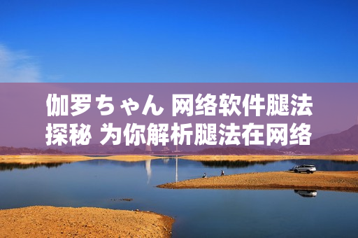 伽羅ちゃん 網(wǎng)絡軟件腿法探秘 為你解析腿法在網(wǎng)絡軟件中的意義