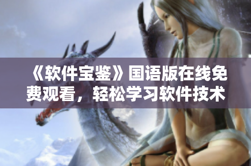 《軟件寶鑒》國語版在線免費觀看，輕松學習軟件技術！