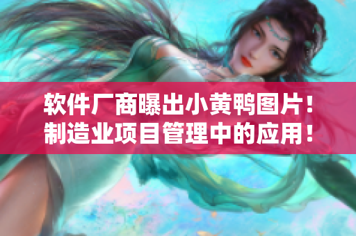 軟件廠商曝出小黃鴨圖片！制造業(yè)項目管理中的應(yīng)用！