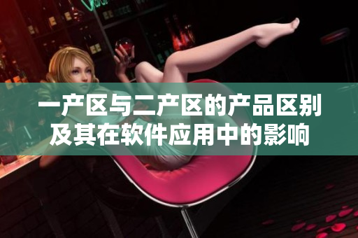 一產區(qū)與二產區(qū)的產品區(qū)別及其在軟件應用中的影響