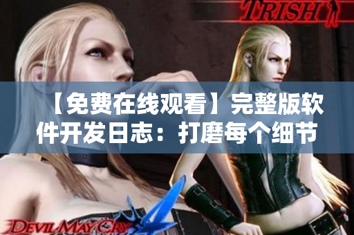 【免費(fèi)在線觀看】完整版軟件開發(fā)日志：打磨每個(gè)細(xì)節(jié)的秘密