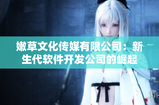 嫩草文化傳媒有限公司：新生代軟件開發(fā)公司的崛起