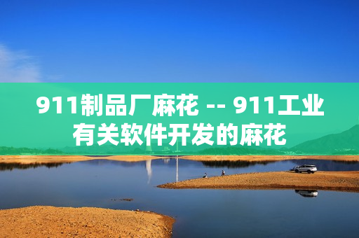 911制品廠麻花 -- 911工業(yè)有關軟件開發(fā)的麻花