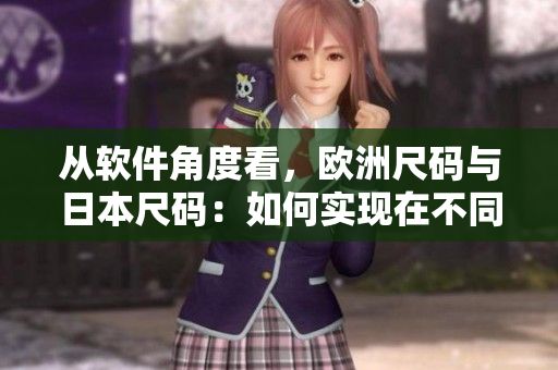 從軟件角度看，歐洲尺碼與日本尺碼：如何實現(xiàn)在不同平臺上的精確適配？