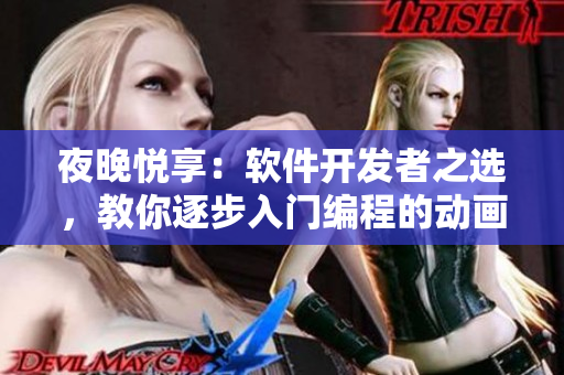 夜晚悅享：軟件開(kāi)發(fā)者之選，教你逐步入門(mén)編程的動(dòng)畫(huà)電影