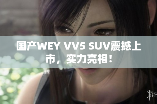 國產(chǎn)WEY VV5 SUV震撼上市，實力亮相！