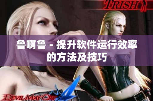 魯啊魯 - 提升軟件運行效率的方法及技巧